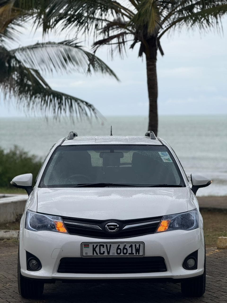 2014 Toyota Fielder
